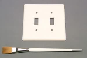 Paint this very cool ceramic double light switch plate!  A great way to personalize your house.